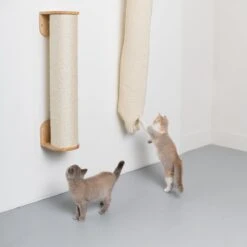 RHRQuality Wandmeubel Wandmontage Klimmuur Kat 175 X 16cm Klim En Klauterzak Beige Wand Muur Krabpaal Katten Muurbevestiging -Kattenbenodigdheden 1200x1200 992