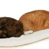 COSY AND DOZY Cat Shelf Deluxe WIT – Hangmat Kat – Maple Hout - 90 X 41 Cm - Kattenplank - Katten Muur 1 COSY AND DOZY Cat Shelf Deluxe WIT – Hangmat Kat – Maple Hout - 90 X 41 Cm - Kattenplank - Katten Muur -Kattenbenodigdheden 1200x417 2