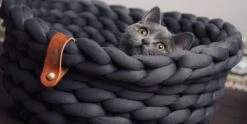 Djambo Kattenmanden, Gevlochten En Zachte Kattenbed, Comfortabel En Warm. -Kattenbenodigdheden 1200x600 2