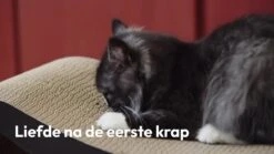 Snoozle Loop Krabpaal Voor Katten - Zwart - 86cm - Krabmeubel Voor Grote Katten - Karton 27 Snoozle Loop Krabpaal Voor Katten - Zwart - 86cm - Krabmeubel Voor Grote Katten - Karton -Kattenbenodigdheden 1200x675 10