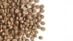 Carocroc Kitten Food - Kattenvoer - 7 Kg -Kattenbenodigdheden 1200x675