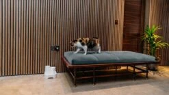 Cat Mate - Waterfontein Kat - Kattenfontein - Drinkfontein Kat - Fluisterstil - Poezen Fontein - Dieren Drinkbakken - Honden Fontein - 2 L 19 Cat Mate - Waterfontein Kat - Kattenfontein - Drinkfontein Kat - Fluisterstil - Poezen Fontein - Dieren Drinkbakken - Honden Fontein - 2 L -Kattenbenodigdheden 1200x675 5