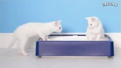 Catsan Hygiene Plus - Kattenbakvulling Geurabsorberend - 20 L -Kattenbenodigdheden 1200x675 9