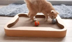 Cheerble Mini Ball 2.0 - Slimme Interactieve Zelf Rollende Bal Voor Katten - 3 Speelmodi - Kattenspeeltjes - USB Oplaadbaar - Rood 25 Cheerble Mini Ball 2.0 - Slimme Interactieve Zelf Rollende Bal Voor Katten - 3 Speelmodi - Kattenspeeltjes - USB Oplaadbaar - Rood -Kattenbenodigdheden 1200x699