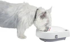 Cat Mate C300 - Automatische Voerbak – Voerbak – Voerautomaat - Voerbak Kat – Voerbak Hond - Voerbak Met Timer - Voerautomaat Kat - Voerautomaat Hond – Automatisch- Wit -Kattenbenodigdheden 1200x724