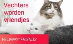 Feliway Friends - Startset - 1 Verdamper Met 1 Vulling - 48 Ml - Anti-conflict Voor Katten -Kattenbenodigdheden 1200x735