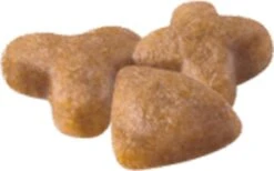 Royal Canin Sensible 33 - Kattenvoer - 4 Kg -Kattenbenodigdheden 1200x746