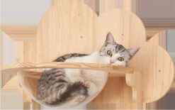 LBB - Katten Klimmuur - Kattenkom En Plateau - Katten Klim Wand - Krabpaal Muur - Klimmuur Kat 8 LBB - Katten Klimmuur - Kattenkom En Plateau - Katten Klim Wand - Krabpaal Muur - Klimmuur Kat -Kattenbenodigdheden 1200x751 1