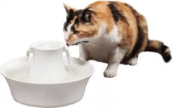 Petsafe Drinkwell Ceramic Avalon - Drinkfontein - 2 L -Kattenbenodigdheden 1200x754