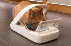 Surefeed Microchip Pet Feeder - Voerbak - 30 X 23 X 22 Cm -Kattenbenodigdheden 1200x780 1