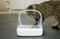 Surefeed Microchip Pet Feeder - Voerbak - 30 X 23 X 22 Cm -Kattenbenodigdheden 1200x780 3