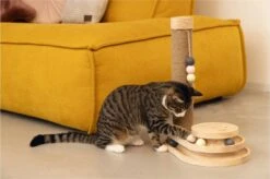 Designed By Lotte Krabpaal Inez 38 X 24,5 X 47,5 Cm -Kattenbenodigdheden 1200x799 14