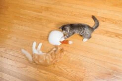 FroliCat Vossenhol - Automatische Kattenplager - Kattenspeelgoed -Kattenbenodigdheden 1200x799