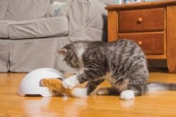 FroliCat Vossenhol - Automatische Kattenplager - Kattenspeelgoed -Kattenbenodigdheden 1200x799 3