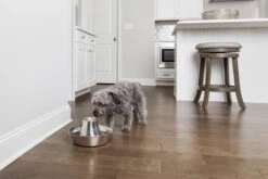 PetSafe® Seaside Stainless Steel Pet Fountain - RVS Drinkfontein Voor Katten En Kleine Honden - Water Borrelt Zacht Over De Toren - Door Het Design Van Alle Kanten Bereikbaar - 1,8 Liter - PetSafe Seaside 12 PetSafe® Seaside Stainless Steel Pet Fountain - RVS Drinkfontein Voor Katten En Kleine Honden - Water Borrelt Zacht Over De Toren - Door Het Design Van Alle Kanten Bereikbaar - 1,8 Liter - PetSafe Seaside -Kattenbenodigdheden 1200x800 18