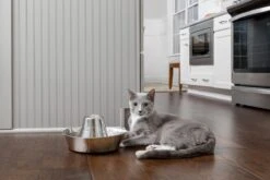 PetSafe® Seaside Stainless Steel Pet Fountain - RVS Drinkfontein Voor Katten En Kleine Honden - Water Borrelt Zacht Over De Toren - Door Het Design Van Alle Kanten Bereikbaar - 1,8 Liter - PetSafe Seaside 13 PetSafe® Seaside Stainless Steel Pet Fountain - RVS Drinkfontein Voor Katten En Kleine Honden - Water Borrelt Zacht Over De Toren - Door Het Design Van Alle Kanten Bereikbaar - 1,8 Liter - PetSafe Seaside -Kattenbenodigdheden 1200x800 19