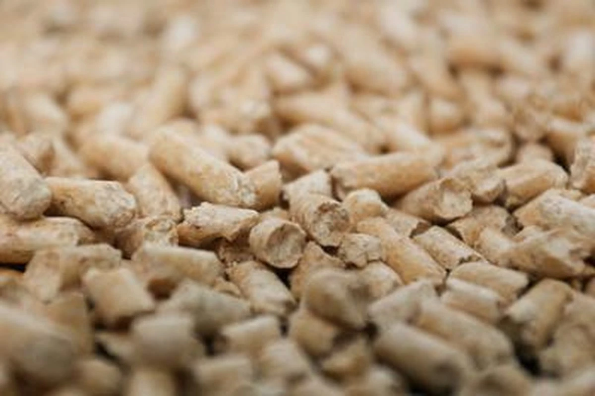 Peewee Houtkorrels - Kattenbakvulling - 3 Kg 4 Peewee Houtkorrels - Kattenbakvulling - 3 Kg - Afbeelding 2