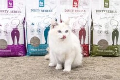 Dirty Rebels Kattenbakvulling - 10 L - Geurloos / Zonder Geur - Sterk Klontvormend - Stofvrij - 100% Natuurlijk - Premium Kwaliteit Van Petrebels -Kattenbenodigdheden 1200x800 57