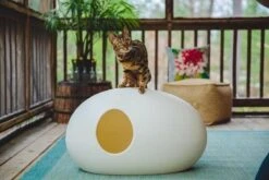 SinDesign Poopoopeedo Kattenbak - Zwart -Kattenbenodigdheden 1200x800 61