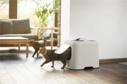 Rotho MyPet Biala Kattenbak Met Kap En Schepje / Gemaakt Van Gerecycled Plastic - Cappucino 13 Rotho MyPet Biala Kattenbak Met Kap En Schepje / Gemaakt Van Gerecycled Plastic - Cappucino -Kattenbenodigdheden 1200x800 62