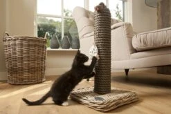 Designed By Lotte - Krabpaal - Kubu - 40x40x80 Cm -Kattenbenodigdheden 1200x800 64