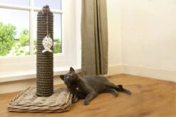 Designed By Lotte - Krabpaal - Kubu - 40x40x80 Cm -Kattenbenodigdheden 1200x800 65