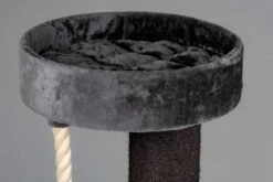 Krabpaal Voor Grote Katten Maine Coon Sleeper Crown Blackline Donkergrijs Antraciet Van RHRQuality 13 Krabpaal Voor Grote Katten Maine Coon Sleeper Crown Blackline Donkergrijs Antraciet Van RHRQuality -Kattenbenodigdheden 1200x800 85