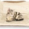 Kattenhangmat - Voor Aan Het Raam - Kattenmand - Raam - Hangmat Kat - Dieren - Kattenbed - Kattenmand - Slaapplek - Ligplaats