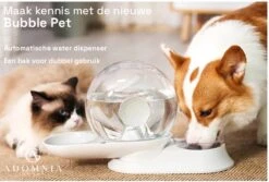 AdomniaGoods - Automatische Katten Voerbak - Antislip Honden Voerbak - Unique Transparant/grijs Design - Altijd Hygiënisch Schoon Water! -Kattenbenodigdheden 1200x810 1