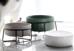 GIZMO 2x Voerbak Kat - 400 Ml - Groen - Keramische Drink- & Voerbakken Met Standaard - 13 Cm - 2 Stuks -Kattenbenodigdheden 1200x823