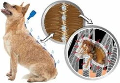 Beaphar DIMETHIcare Line On Kat - Vlooienbestrijding - 6 Pipetten 14 Beaphar DIMETHIcare Line On Kat - Vlooienbestrijding - 6 Pipetten -Kattenbenodigdheden 1200x831 2