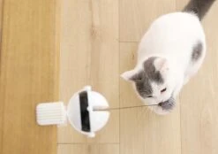 Merkloos Kattenhengel - Elektrisch Kattenspeelgoed - Kattenspeeltjes - Automatische Hengel - Kitten Speelgoed - Interactief Kattenspeelgoed - Bal - Katten - Poesjes - Kitten - Kat - Kattenbal - Kattenspeeltjes Intelligentie 10 Merkloos Kattenhengel - Elektrisch Kattenspeelgoed - Kattenspeeltjes - Automatische Hengel - Kitten Speelgoed - Interactief Kattenspeelgoed - Bal - Katten - Poesjes - Kitten - Kat - Kattenbal - Kattenspeeltjes Intelligentie -Kattenbenodigdheden 1200x845