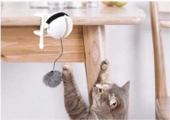 Merkloos Kattenhengel - Elektrisch Kattenspeelgoed - Kattenspeeltjes - Automatische Hengel - Kitten Speelgoed - Interactief Kattenspeelgoed - Bal - Katten - Poesjes - Kitten - Kat - Kattenbal - Kattenspeeltjes Intelligentie 9 Merkloos Kattenhengel - Elektrisch Kattenspeelgoed - Kattenspeeltjes - Automatische Hengel - Kitten Speelgoed - Interactief Kattenspeelgoed - Bal - Katten - Poesjes - Kitten - Kat - Kattenbal - Kattenspeeltjes Intelligentie -Kattenbenodigdheden 1200x852 3