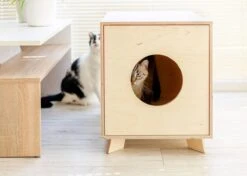 Catandwood Kattenhuis - Kattenbakcontainer - Kattenbak Ombouw - Hout -Kattenbenodigdheden 1200x857 4