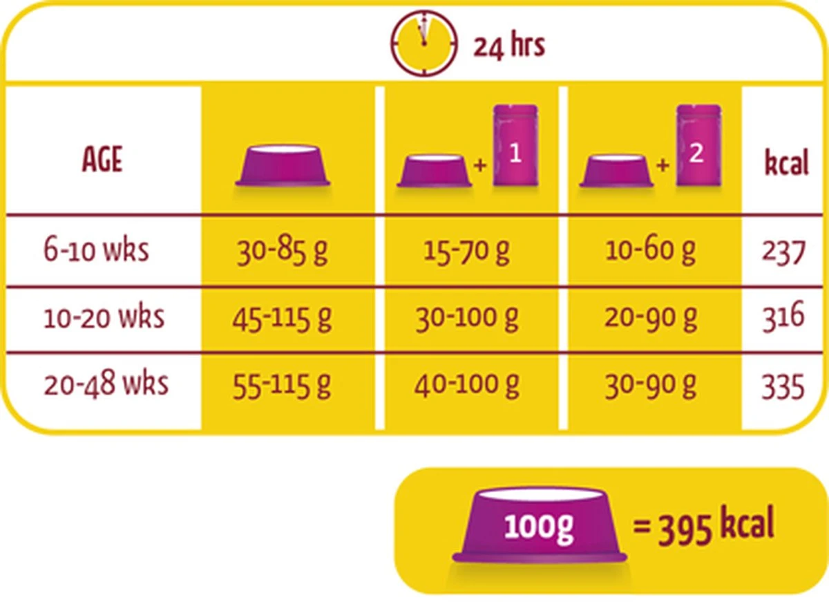 Lara Kitten (2 KG) 4 Lara Kitten (2 KG) - Afbeelding 2