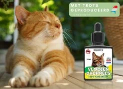 Natuurlijke Vlooiendruppels Voor Katten - Vanaf 4 Kg - 100% Natuurlijk - Vlooien - Zonder Giftige Pesticiden - 30 Ml - Speciale Formule Voor Katten - Vachtdruppels - Made In Holland -Kattenbenodigdheden 1200x872 2