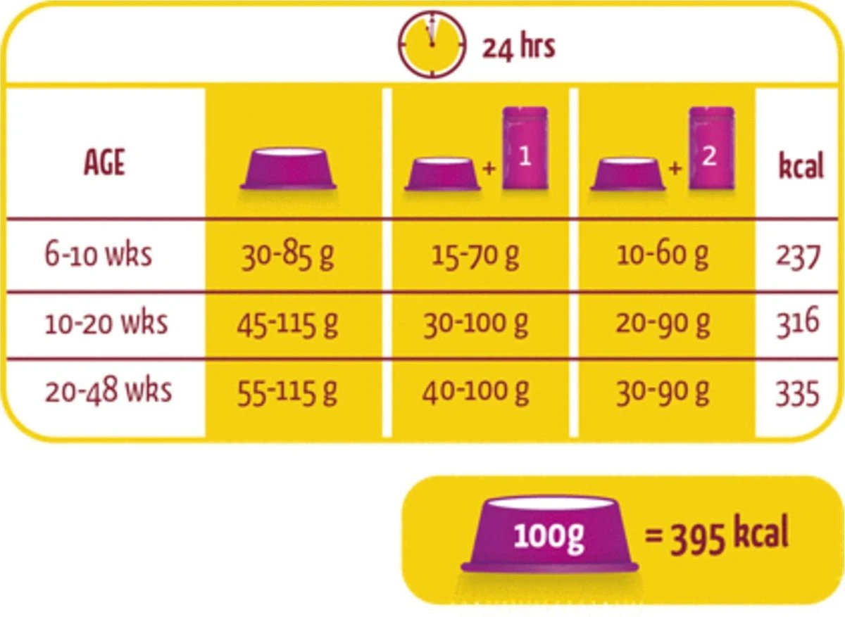 Lara Kitten (2 KG) 6 Lara Kitten (2 KG) - Afbeelding 4