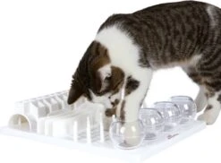 Trixie Cat Activity Fun Bord - 40X30 CM -Kattenbenodigdheden 1200x883 6