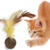 Merkloos EPIN | Kattenkruid Balletje Met Veer | Leuk & Lekker Kattenspeelgoed | Speelgoed Voor Katten -Kattenbenodigdheden 1200x884 3