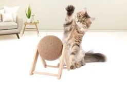 Janse Katten Krab Bal - Katten Speelgoed - Krabmeubel - Kattenkrabpaal - Krabplank - Krabbal - Kattenspeeltje - Krabbol - Inclusief Kattenkruid 9 Janse Katten Krab Bal - Katten Speelgoed - Krabmeubel - Kattenkrabpaal - Krabplank - Krabbal - Kattenspeeltje - Krabbol - Inclusief Kattenkruid -Kattenbenodigdheden 1200x898