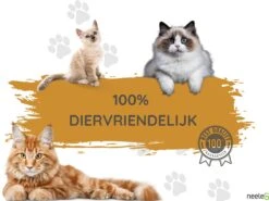 Merkloos Katten Anti Krab XXL Vellen - 10 Stuks - Met NeeleG Springveren - Meubelbescherming - Diervriendelijk - Geen Krabschade Aan Meubels - Bankbescherming - Enkelzijdig Klevend En Transparant - Zonder Punaises - Krabpaal - Anti Scratch - 30x45 CM -Kattenbenodigdheden 1200x898 5
