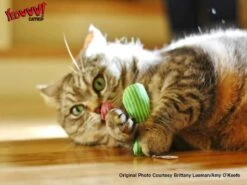 Yeowww! Stinkies Sardientje - Rood Met Sterren - 7.5 Cm - Catnip Kattenkruid ( Kattenspeeltjes ) -Kattenbenodigdheden 1200x899 2