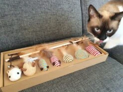 Make Life Beautiful® - Kattenspeeltjes Set - 7-delig - Kattenspeelgoed - Kattenhengel - Speelmuisjes - Kattenspeelgoed Set -Kattenbenodigdheden 1200x900