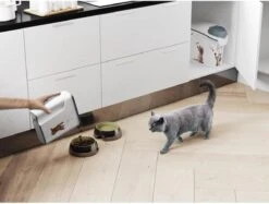 Curver Voercontainer Kat - 6 L 19 Curver Voercontainer Kat - 6 L -Kattenbenodigdheden 1200x910 3