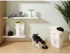 Curver Voedselcontainer Kat - 10 L -Kattenbenodigdheden 1200x917 4