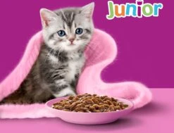 Whiskas Junior Natvoer - Classic - Selectie In Saus - Maaltijdzakjes 48 X 85 G 12 Whiskas Junior Natvoer - Classic - Selectie In Saus - Maaltijdzakjes 48 X 85 G -Kattenbenodigdheden 1200x918