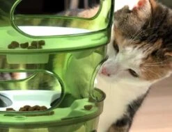 Cat-It Senses 2.0 Food Tree - Wit/Groen - Voerbak - Ø 35 Cm -Kattenbenodigdheden 1200x923