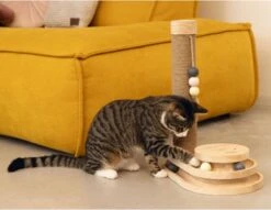 Designed By Lotte Krabpaal Inez 38 X 24,5 X 47,5 Cm -Kattenbenodigdheden 1200x926 2