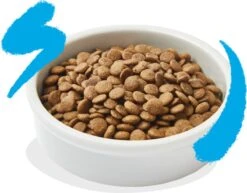 Edgard & Cooper Kattenvoer Adult Zalm 4 Kg 15 Edgard & Cooper Kattenvoer Adult Zalm 4 Kg -Kattenbenodigdheden 1200x936