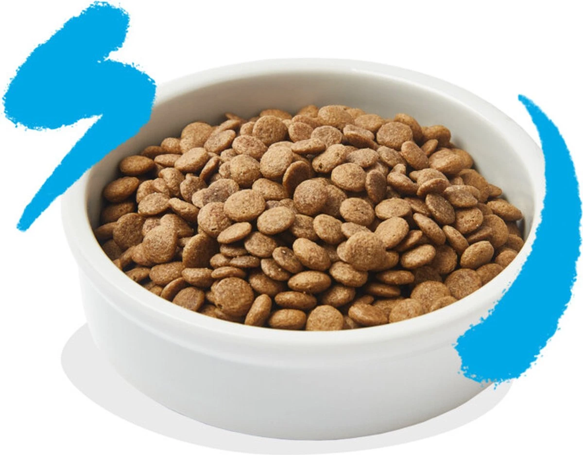 Edgard & Cooper Kattenvoer Adult Zalm 4 Kg 6 Edgard & Cooper Kattenvoer Adult Zalm 4 Kg - Afbeelding 4